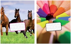 Schrift Kangaro 165x210mm schoonschrijven 72pag 1 Stuk