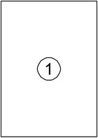 Etiket Avery DP001 210x297 wit 100stuks 100 Vel-2