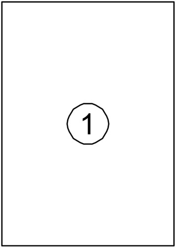 Etiket Avery DP001 210x297 wit 100st 100 Vel-2