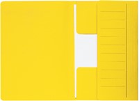 Dossiermap Djois Mamm folio 250gr recy gl 1 Stuk