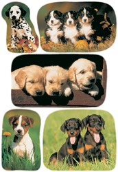 Etiket HERMA 3528 honden 3 Vel