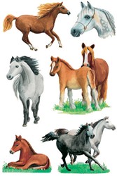 Etiket HERMA 3553 paarden rassen 3 Vel