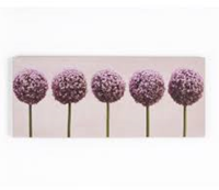 GRAHAM & BROWN CANVAS ROW OF ALLIUMS
