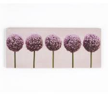 GRAHAM & BROWN CANVAS ROW OF ALLIUMS