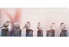 GRAHAM & BROWN CANVAS EARLY MORNING TWEETS