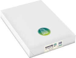 KOPIEERPAPIER CLAIREFONTAINE EVERCOLOR A3 80GR. IVOOR PAK à 500