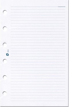 SUCCES SENIOR 100VEL GELINIEERD NOTITIEPAPIER